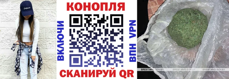 Конопля семена цена наркотик Новоульяновск